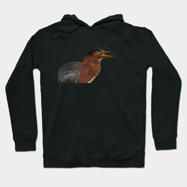 Green Heron Hoodie by obscurite